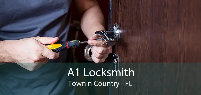 A1 Locksmith Town n Country - FL