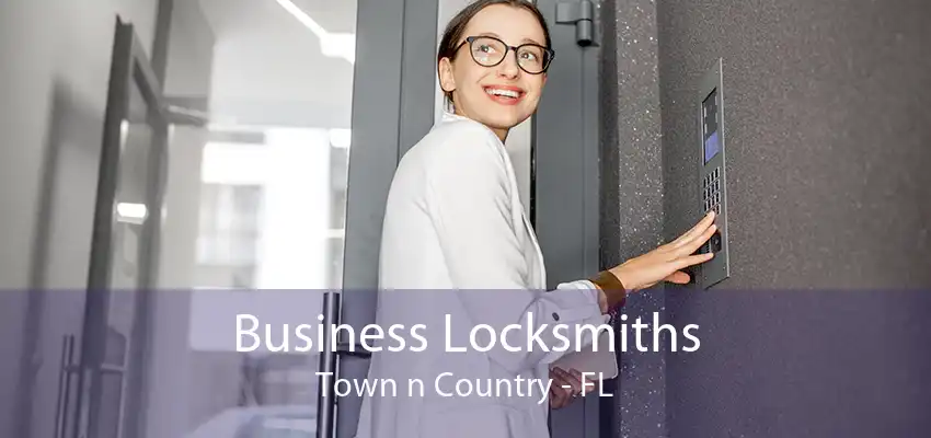 Business Locksmiths Town n Country - FL