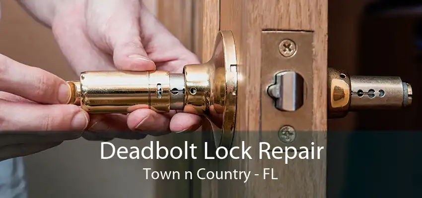 Deadbolt Lock Repair Town n Country - FL