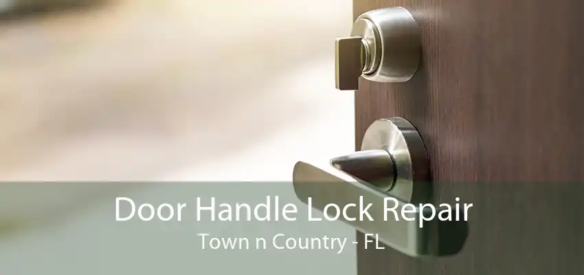 Door Handle Lock Repair Town n Country - FL