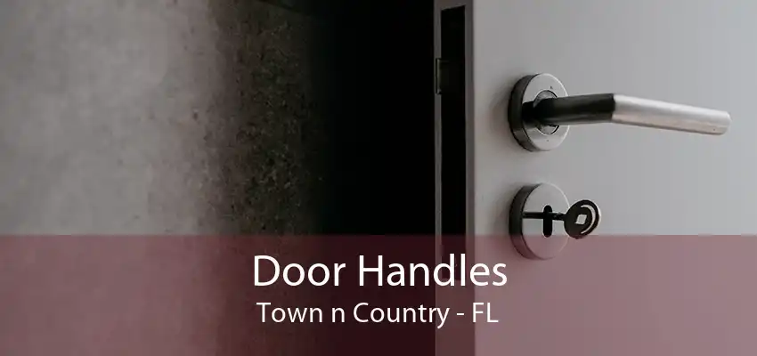 Door Handles Town n Country - FL