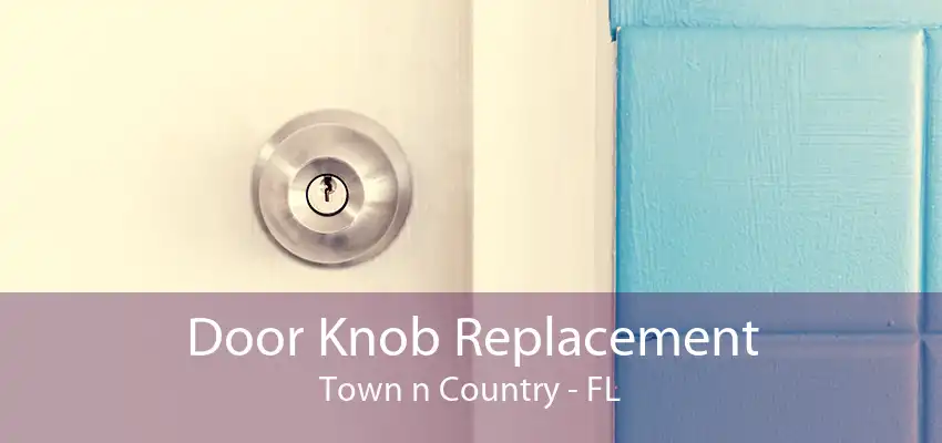 Door Knob Replacement Town n Country - FL