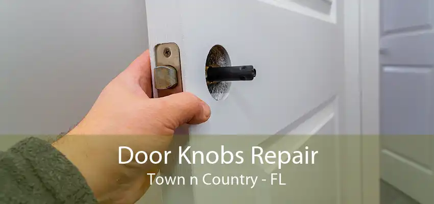 Door Knobs Repair Town n Country - FL