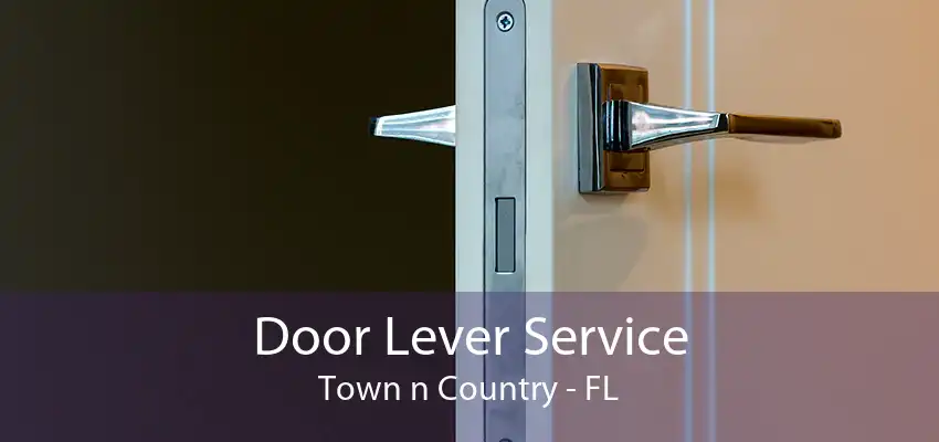 Door Lever Service Town n Country - FL