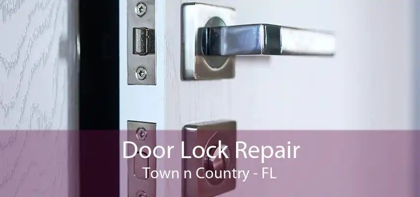 Door Lock Repair Town n Country - FL