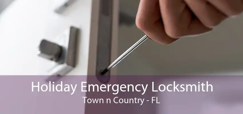 Holiday Emergency Locksmith Town n Country - FL