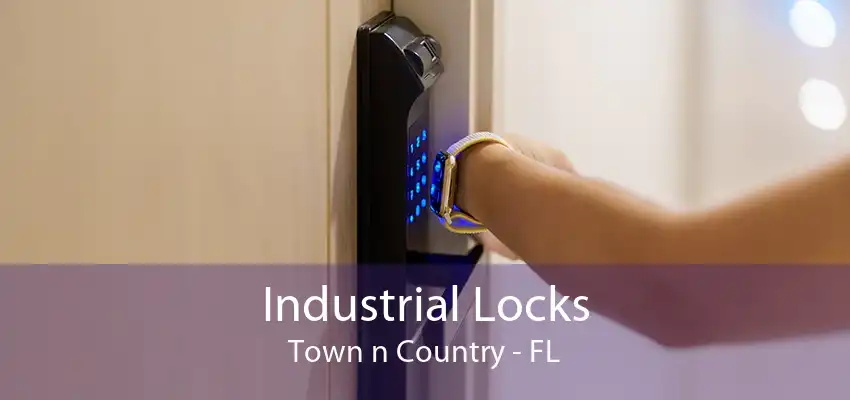 Industrial Locks Town n Country - FL