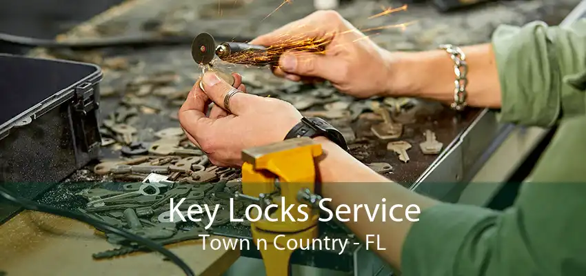 Key Locks Service Town n Country - FL