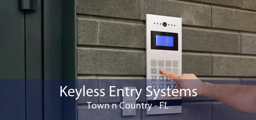 Keyless Entry Systems Town n Country - FL