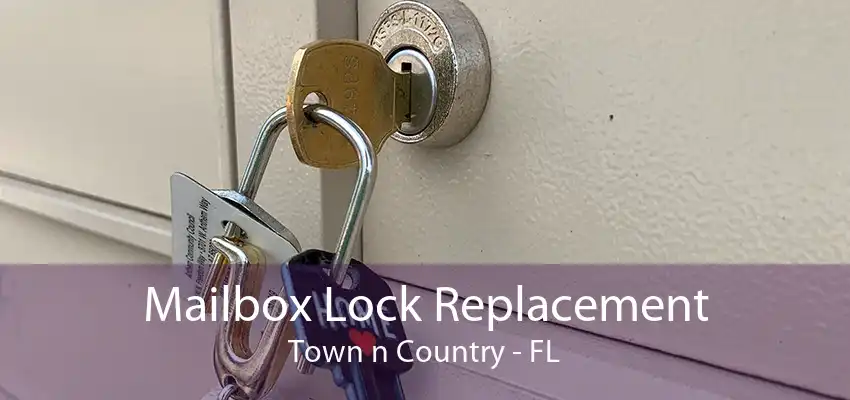 Mailbox Lock Replacement Town n Country - FL