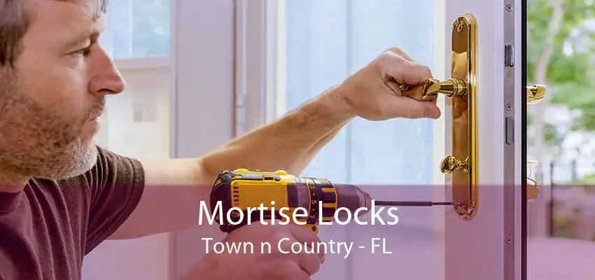 Mortise Locks Town n Country - FL