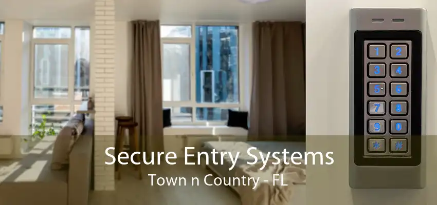 Secure Entry Systems Town n Country - FL